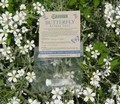Butterfly Attractant